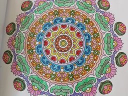 whatsapp bild 2023-07-15 um 13.35.29